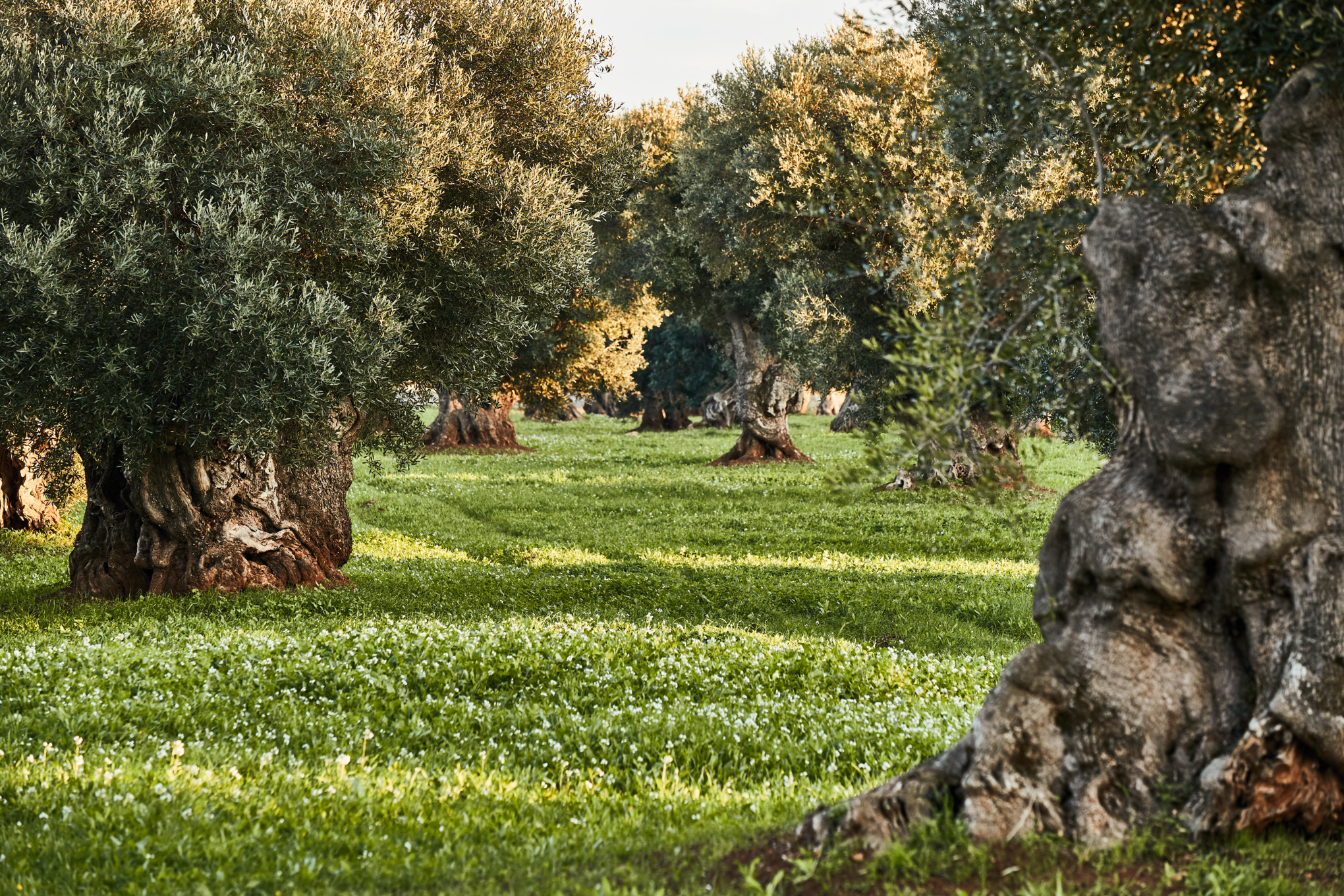 Informativa sulla privacy Fornitori