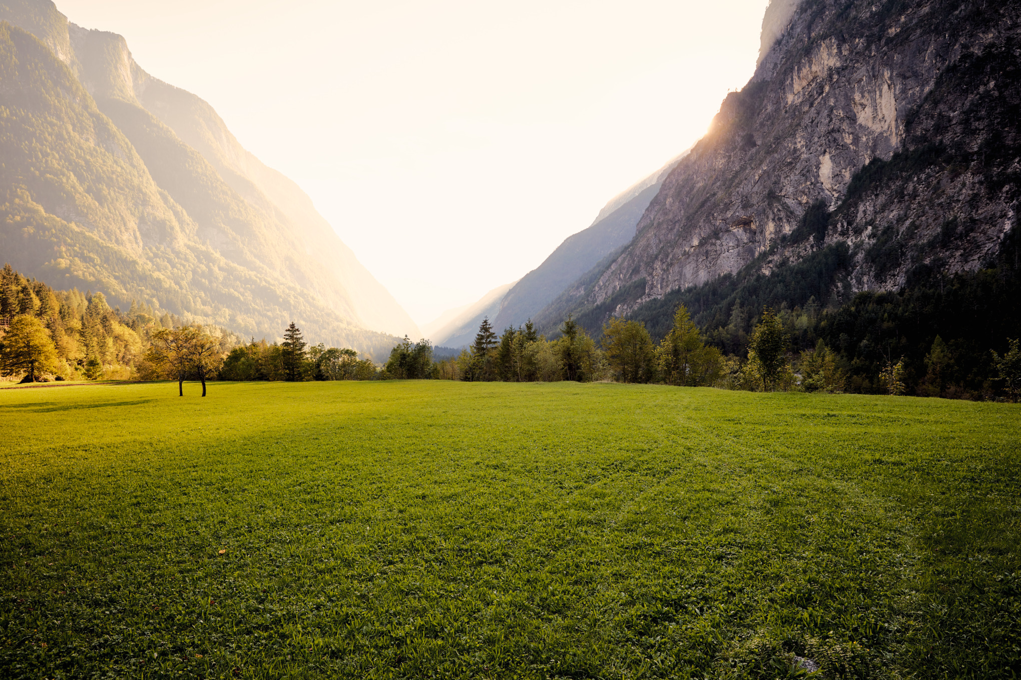 Contatti con la stampa