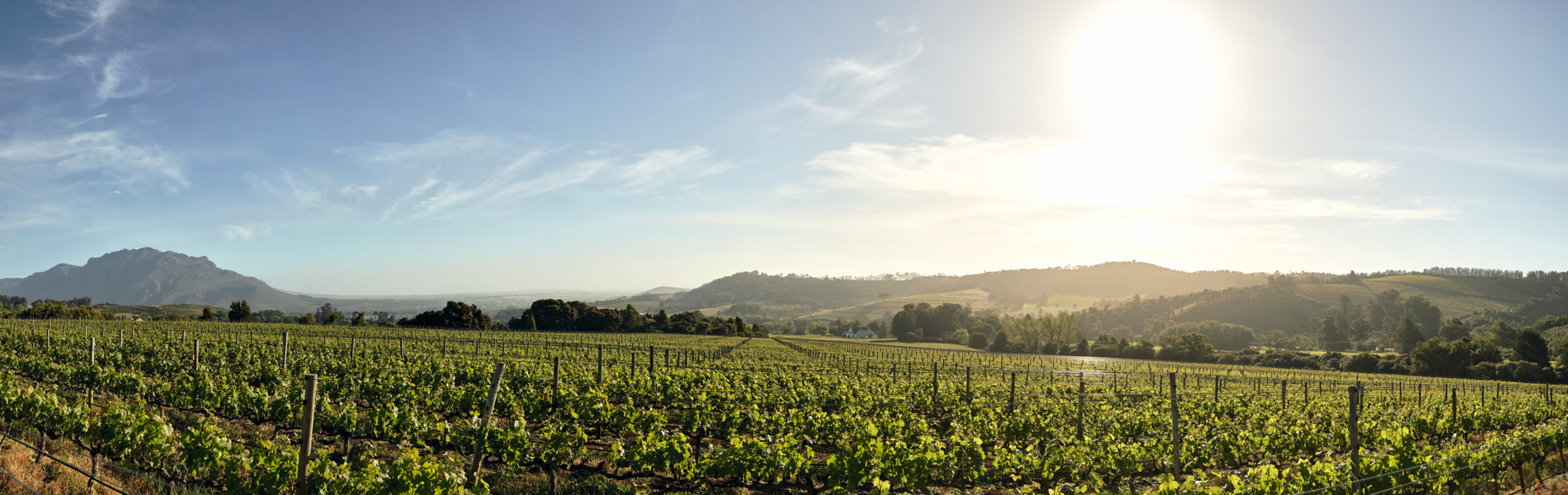 Società di vendita STIHL Africa