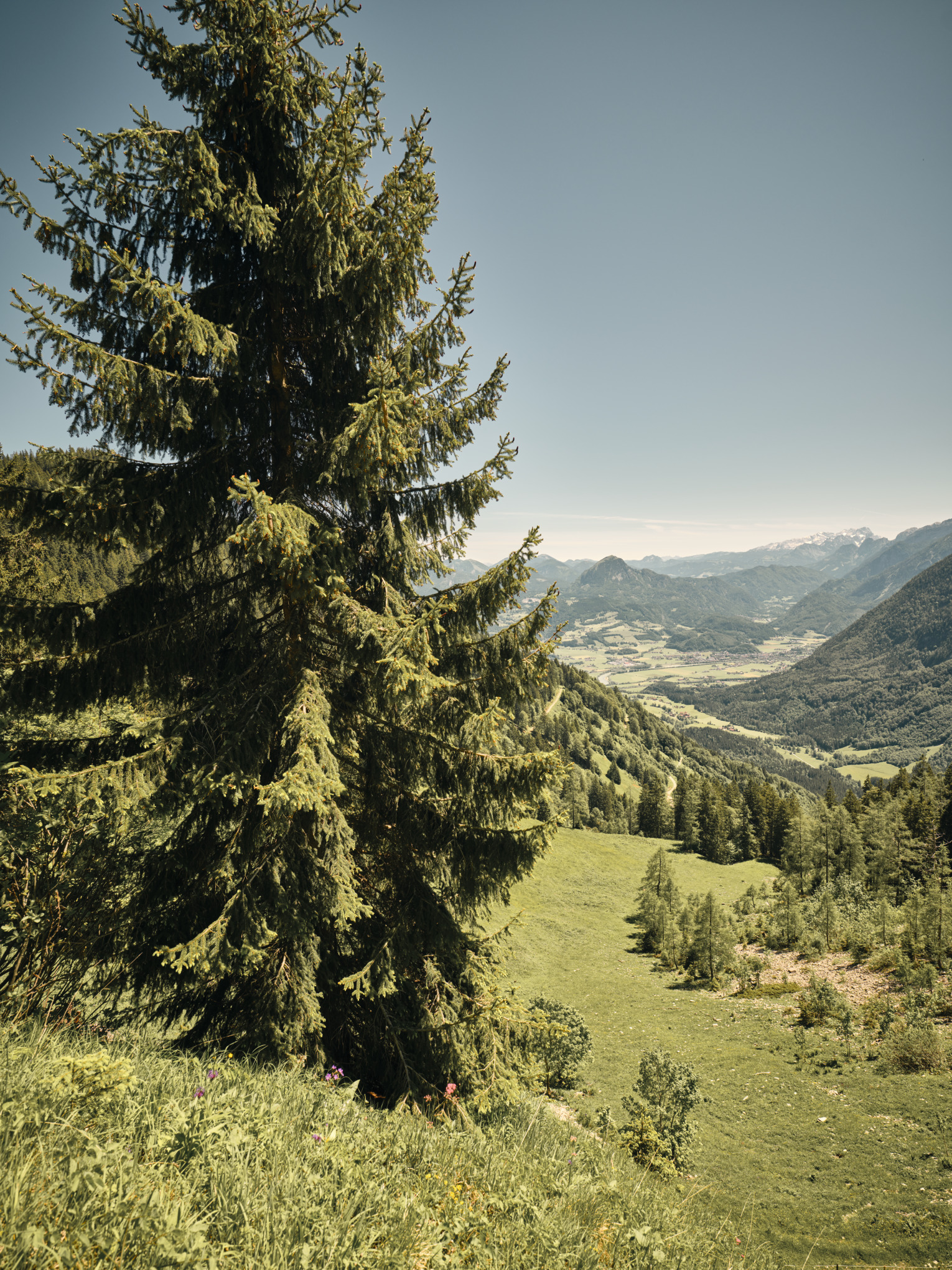 Strategia di sostenibilità