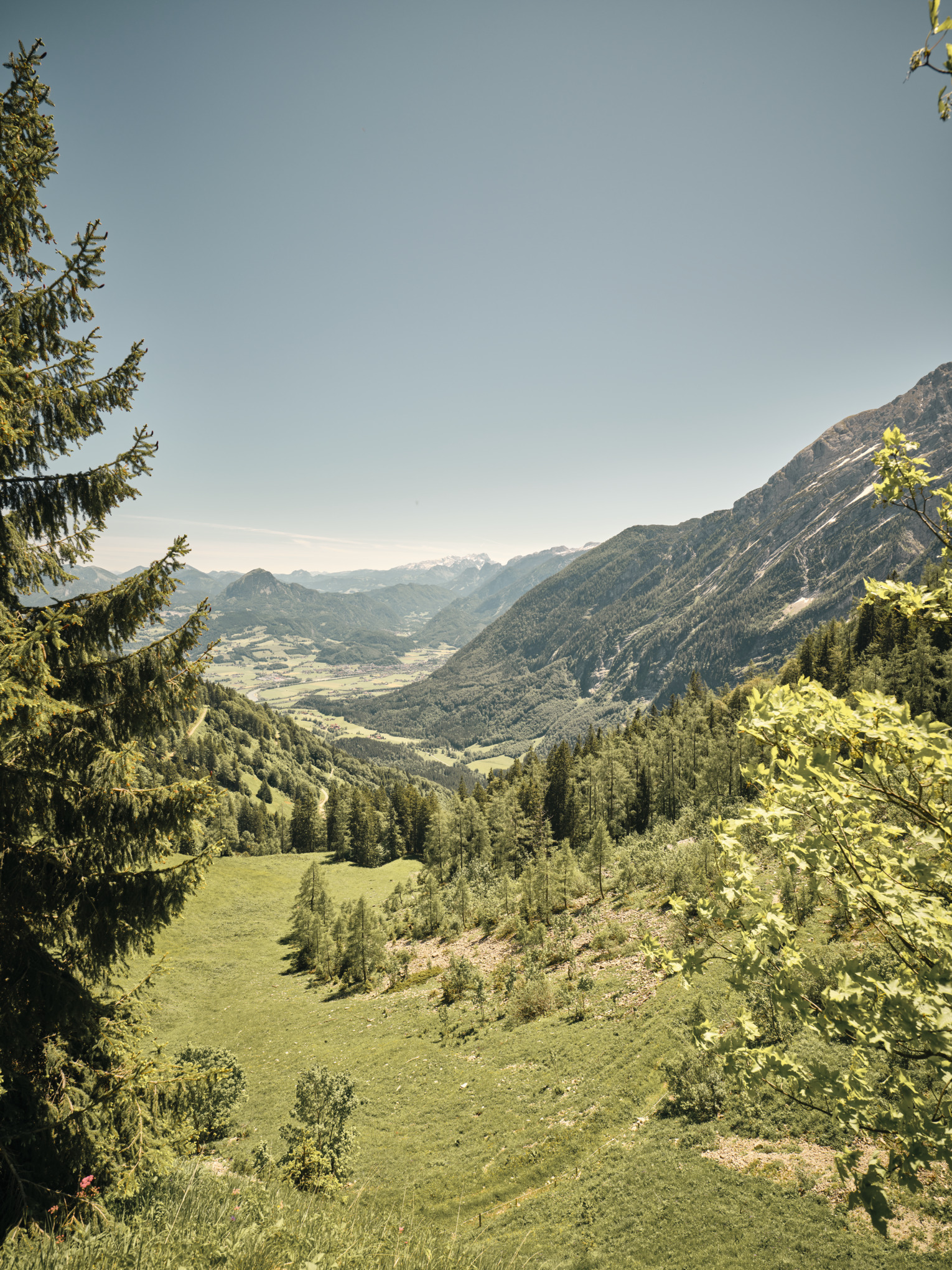 rapporto di sostenibilità stihl