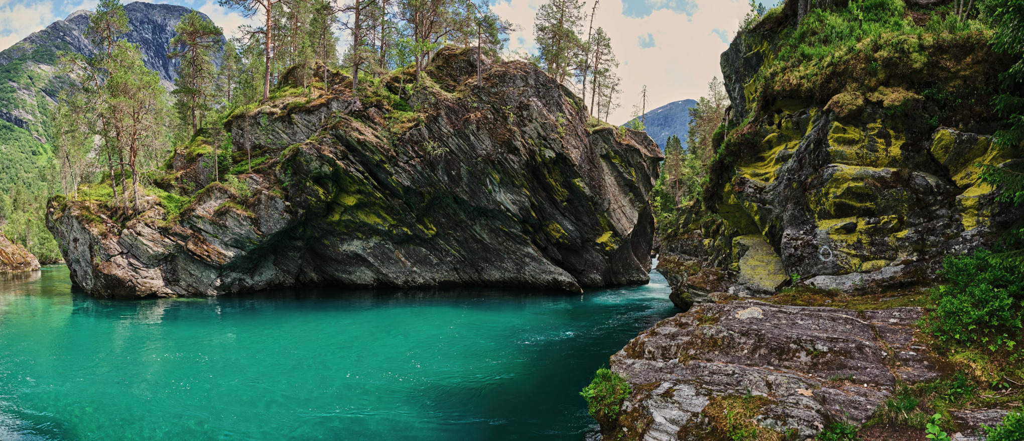 Società di vendita STIHL Australia/Pacifico